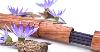       Limited Edition Organic Blue Lotus & Oud (Agarwood) Incense Sticks