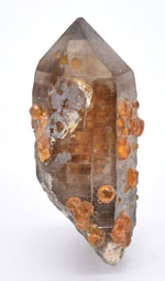 Orange Garnets on Self-Healed Smoky Quartz Manifestation Crystal