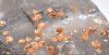 Orange Garnets on Self-Healed Smokey DT Elestial Quartz