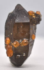     Orange Garnets on Smoky Quartz DT Manifestation Crystal